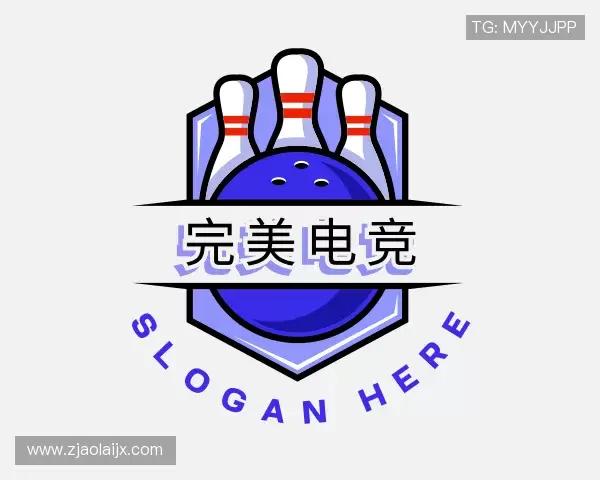 关于完美电竞